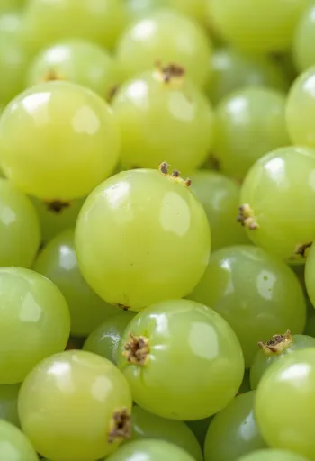 Čerstvé zelené a červené bobule angreštu nakrájené, s listy na dřevěném povrchu